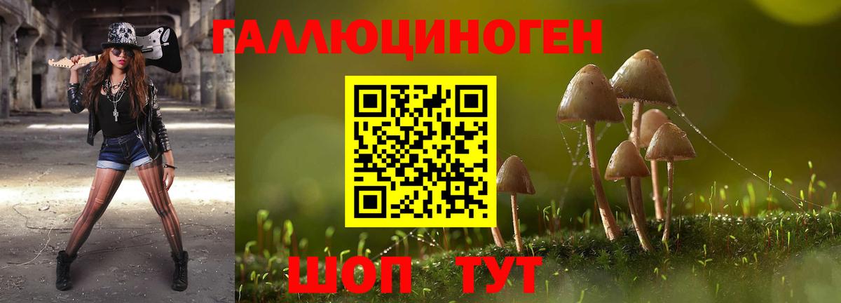 Псилоцибиновые грибы прущие грибы  где можно купить   Вход с VPN  Воркута  Псилоцибиновые грибы Magic Shrooms 
